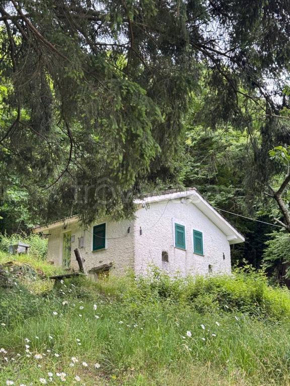 immagine annuncio 4 di 9