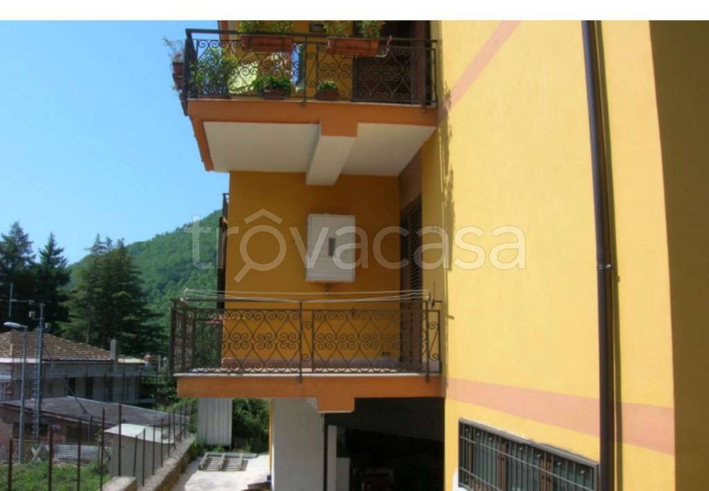 immagine annuncio 4 di 11