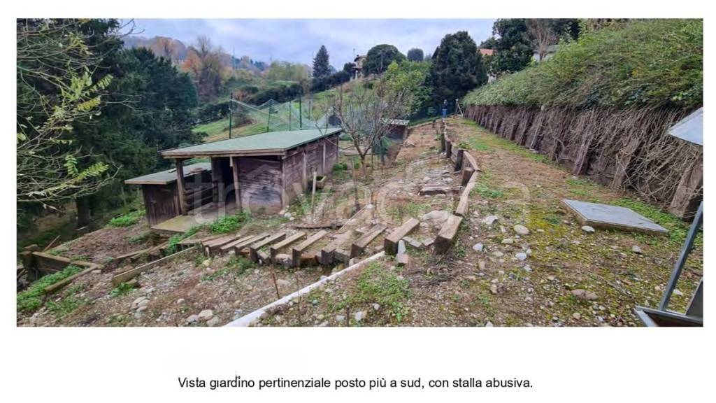 immagine annuncio 9 di 14