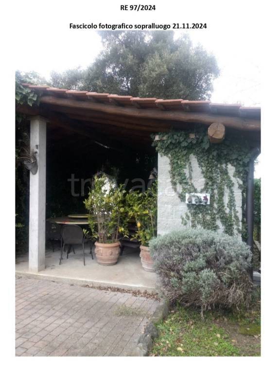 immagine annuncio 12 di 14