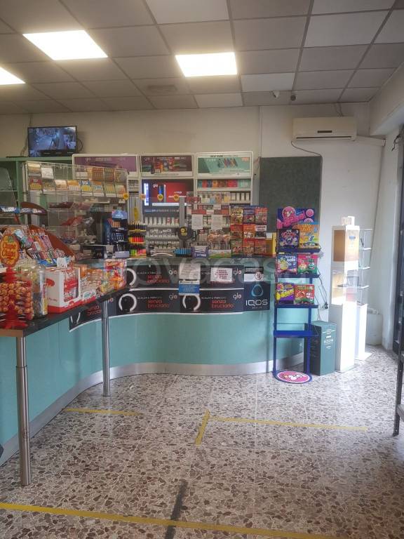 immagine annuncio 3 di 8