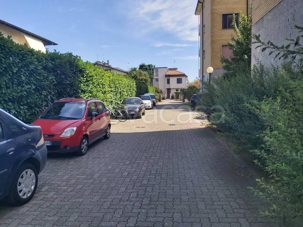 immagine annuncio 3 di 15