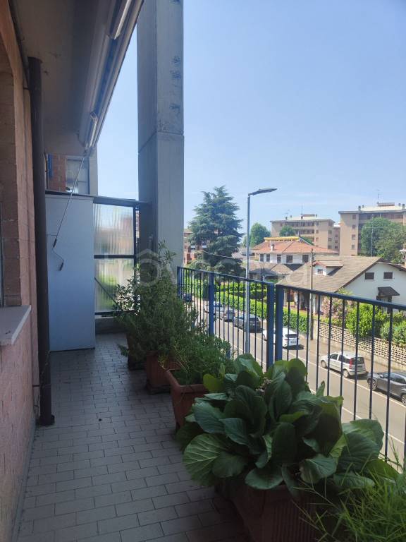 immagine annuncio 11 di 15