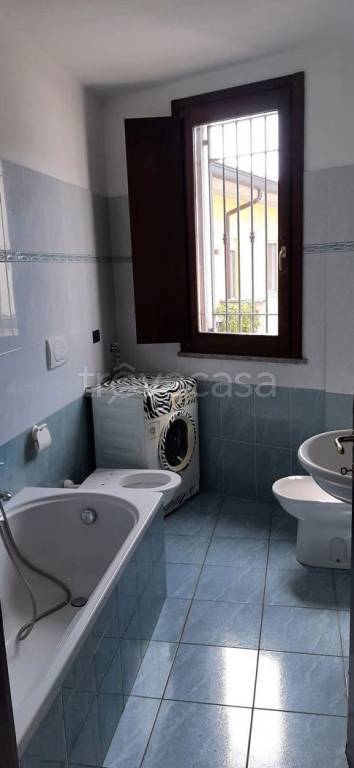 immagine annuncio 3 di 8