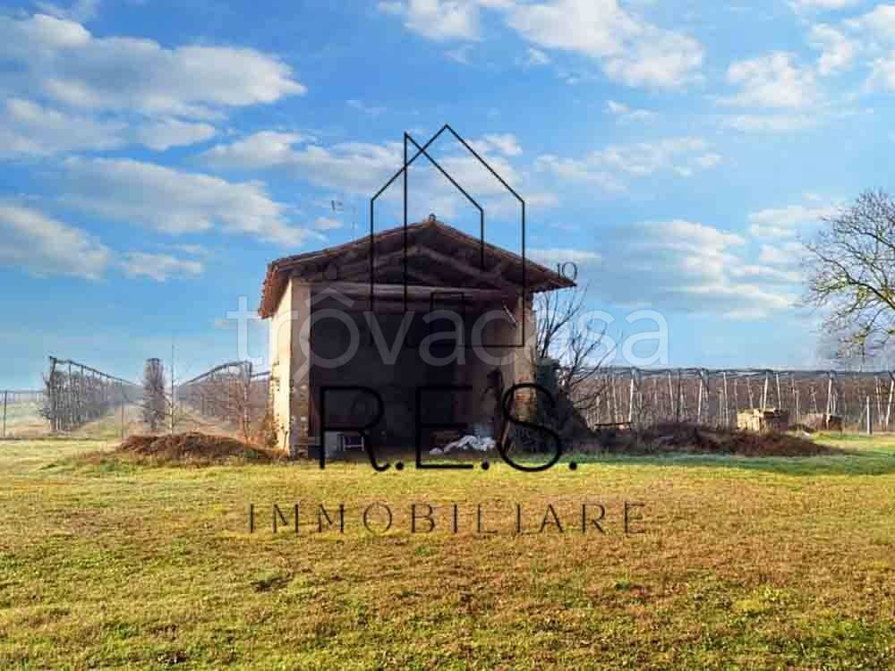 immagine annuncio 9 di 12
