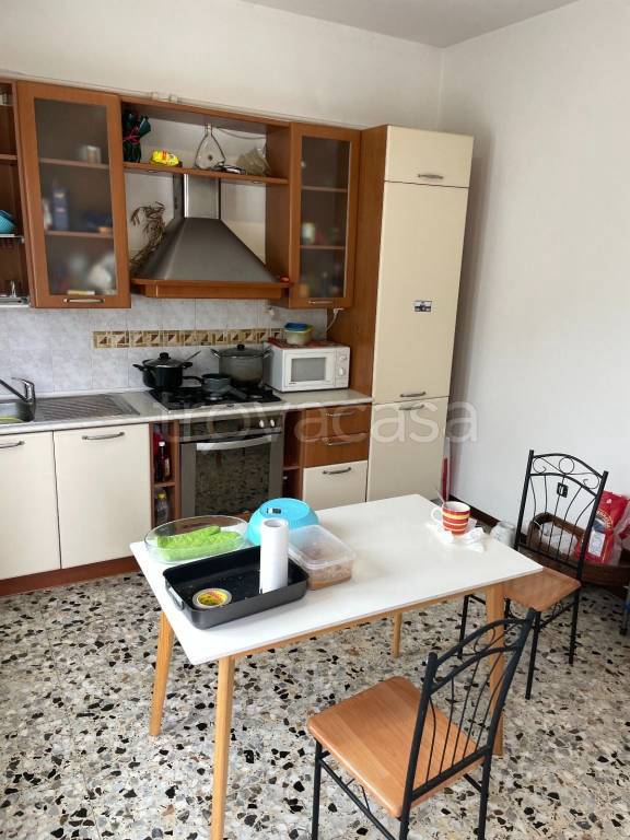 immagine annuncio 9 di 14