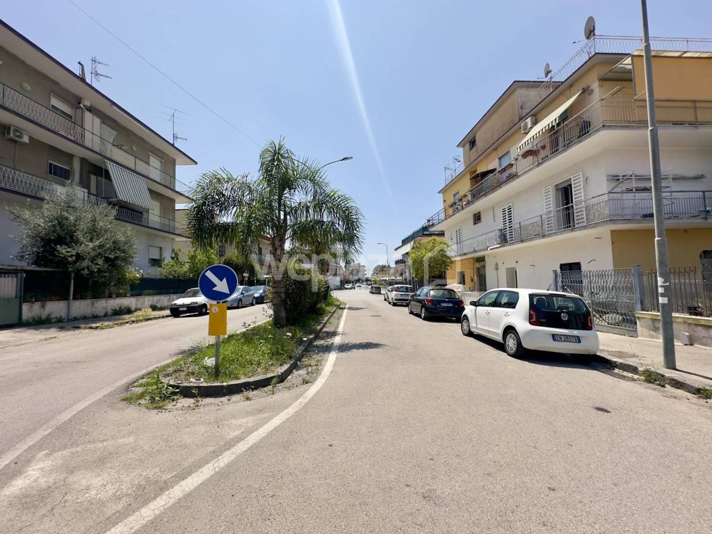 immagine annuncio 6 di 8