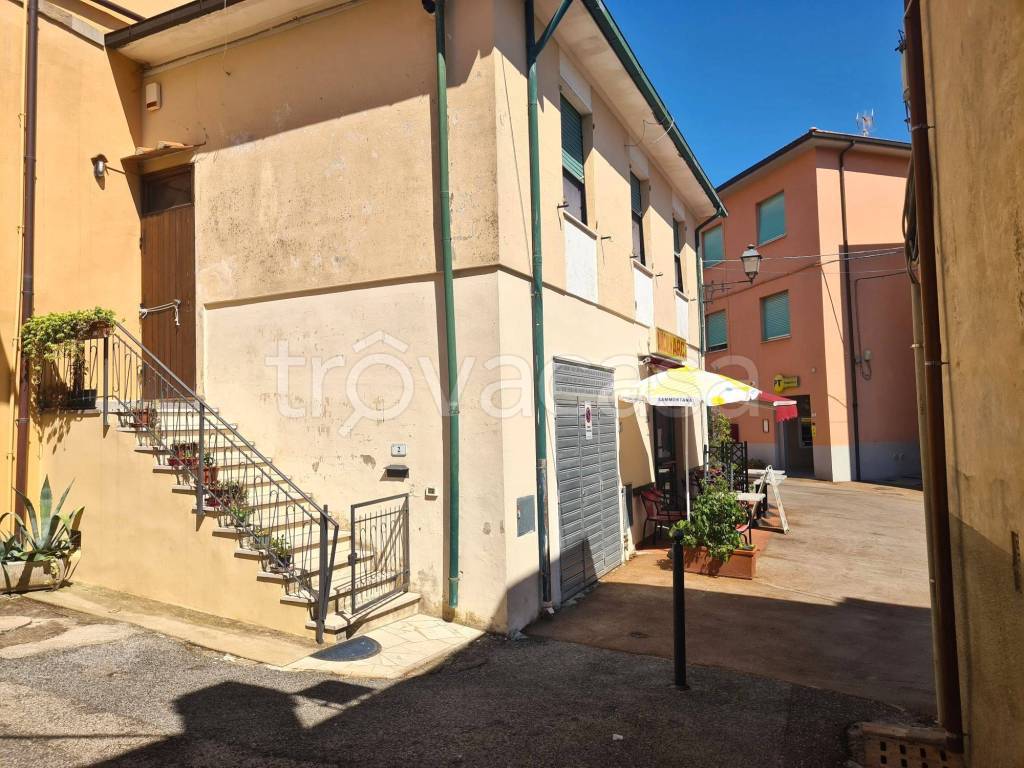 immagine annuncio 12 di 15