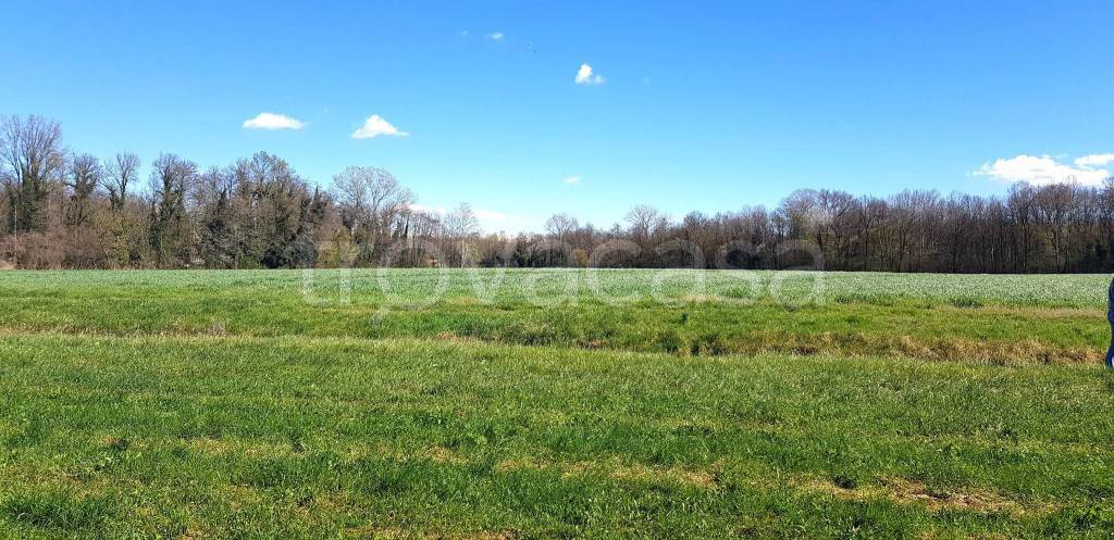 immagine annuncio 2 di 14