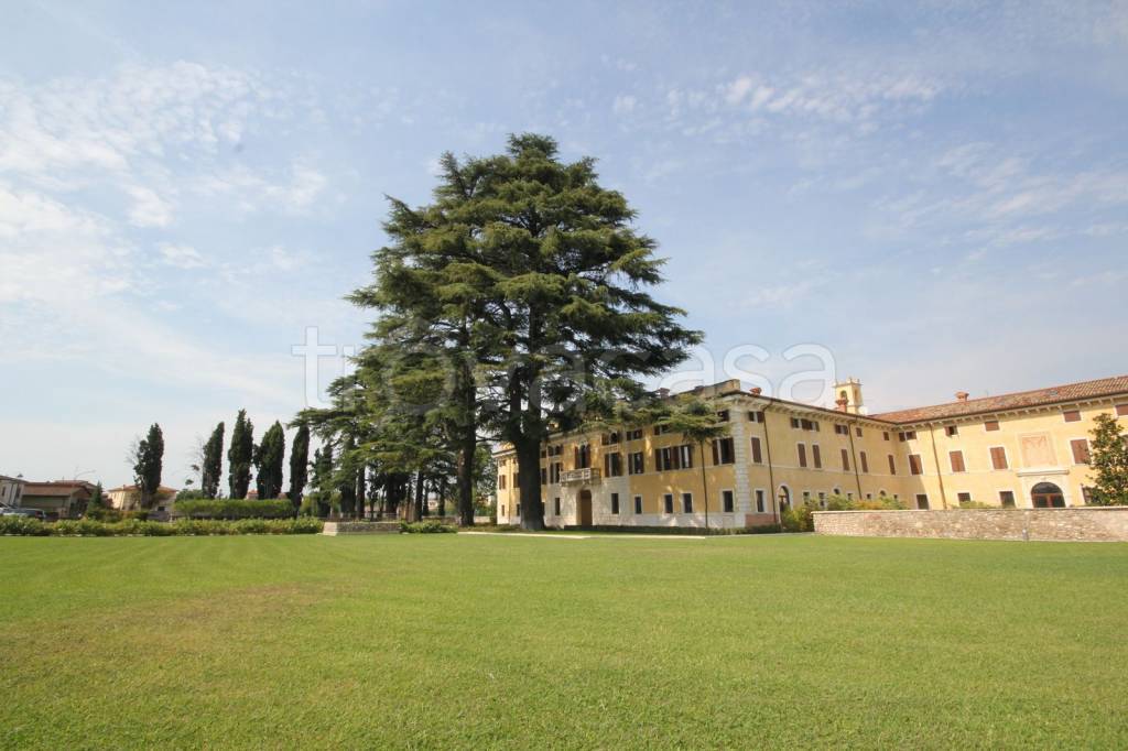 immagine annuncio 5 di 14