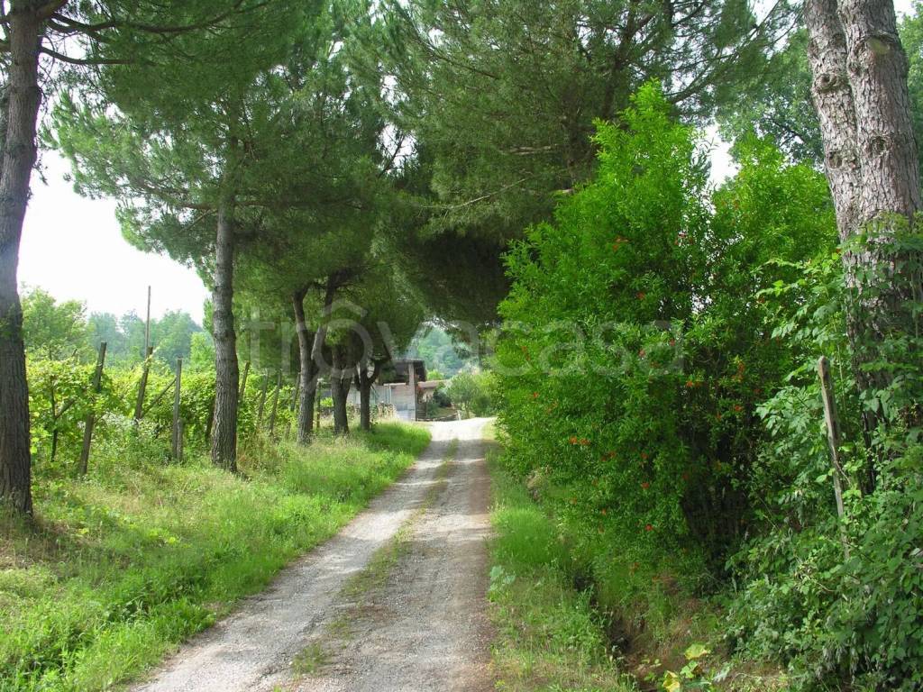 immagine annuncio 6 di 13