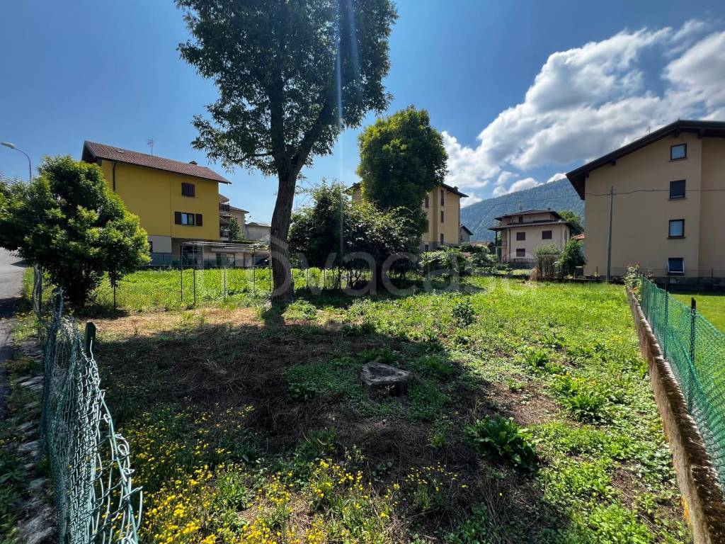immagine annuncio 5 di 7