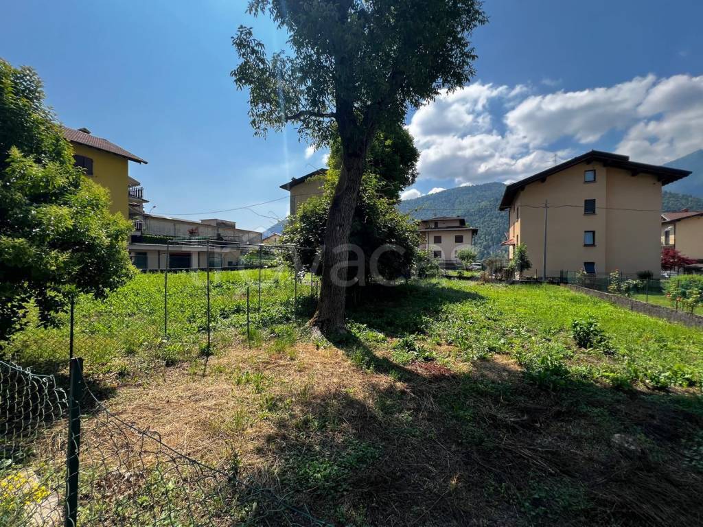immagine annuncio 6 di 7