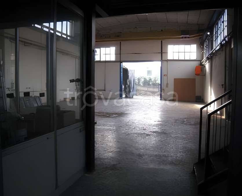 immagine annuncio 4 di 11