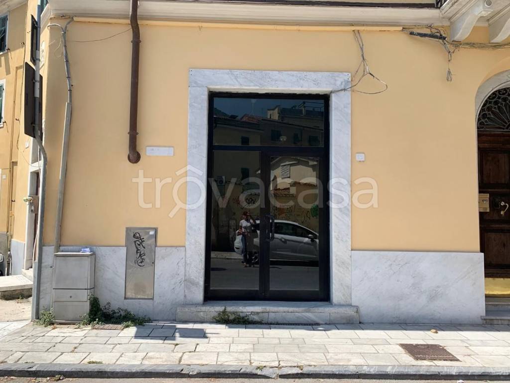 immagine annuncio 6 di 8