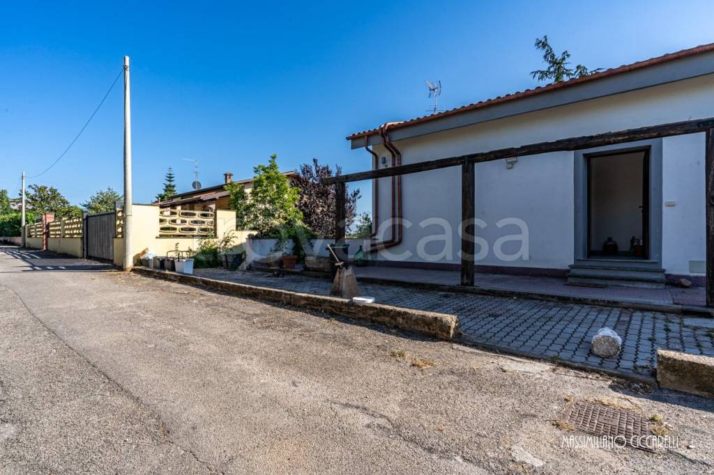 immagine annuncio 1 di 14