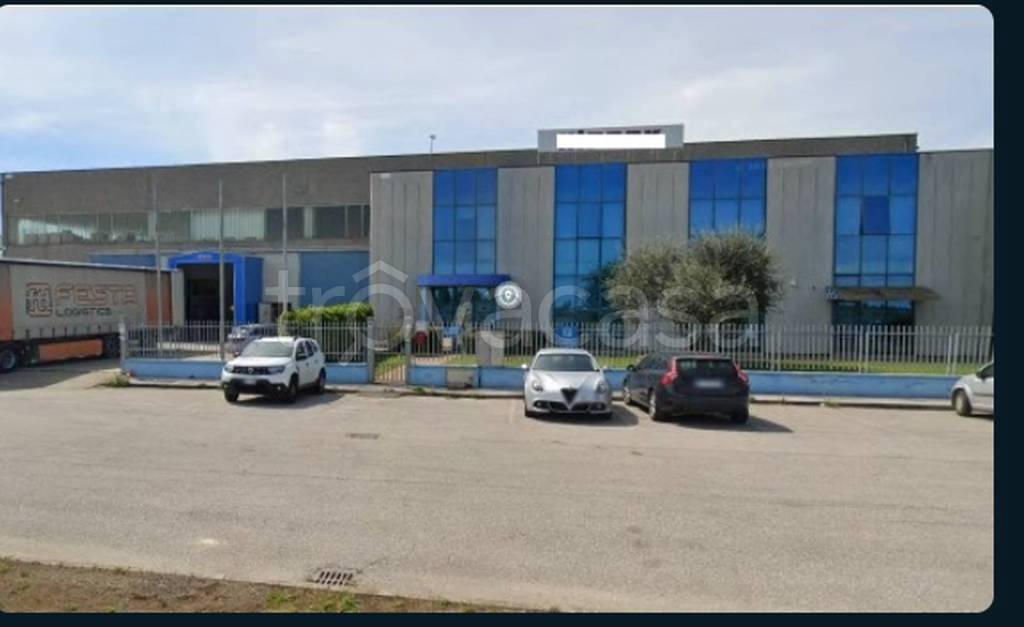 immagine annuncio 10 di 12