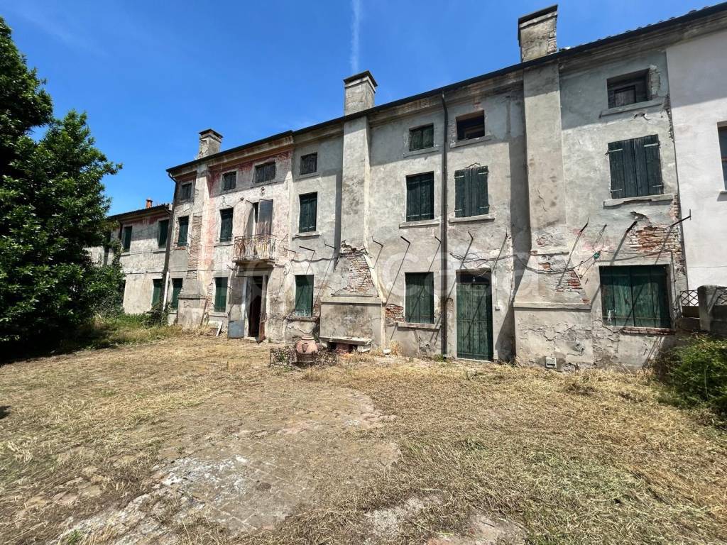 immagine annuncio 5 di 11