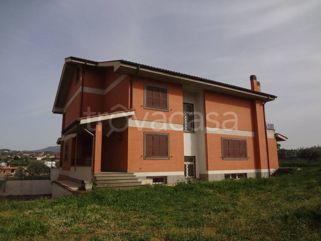 immagine annuncio 2 di 7