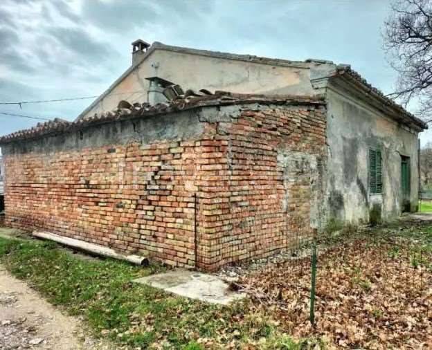 immagine annuncio 2 di 8