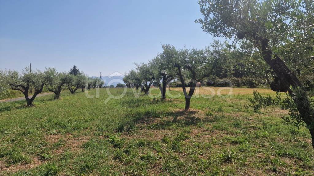 immagine annuncio 6 di 13