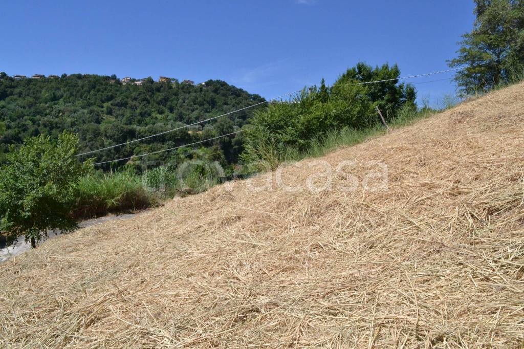 immagine annuncio 5 di 7