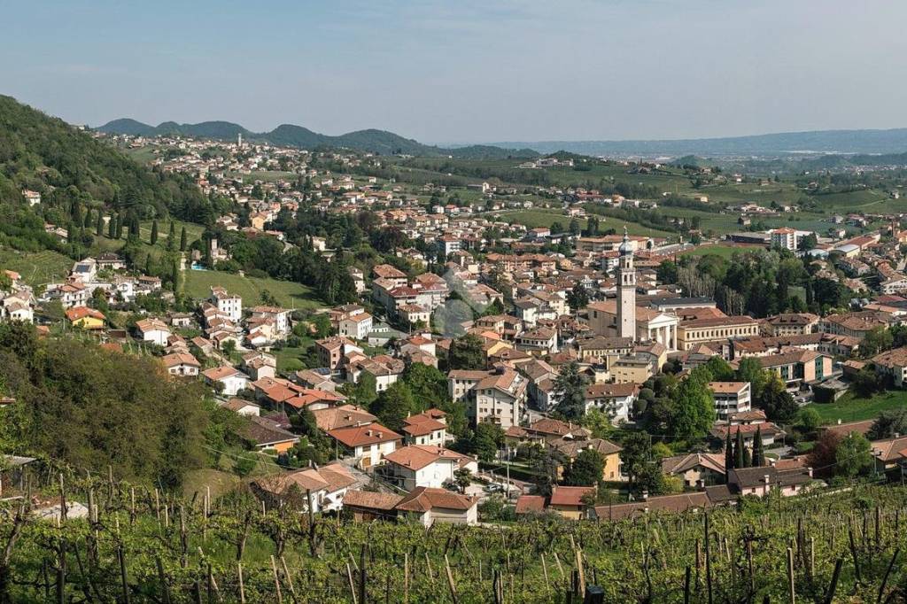 immagine annuncio 5 di 6