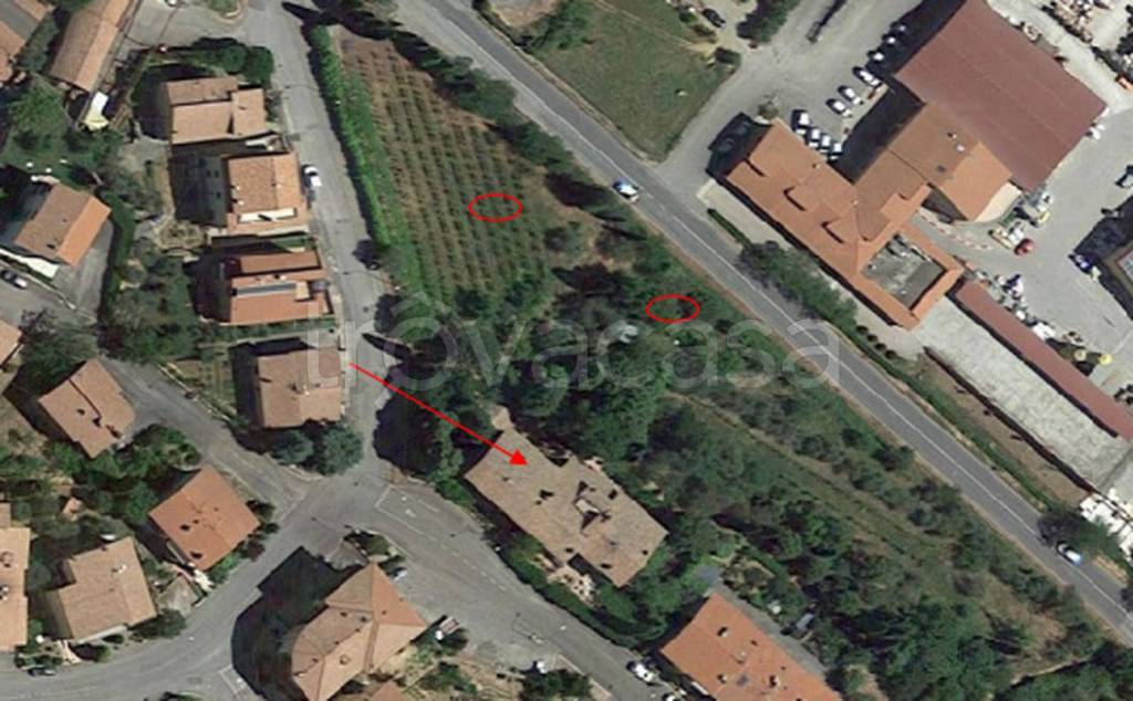 immagine annuncio 12 di 13