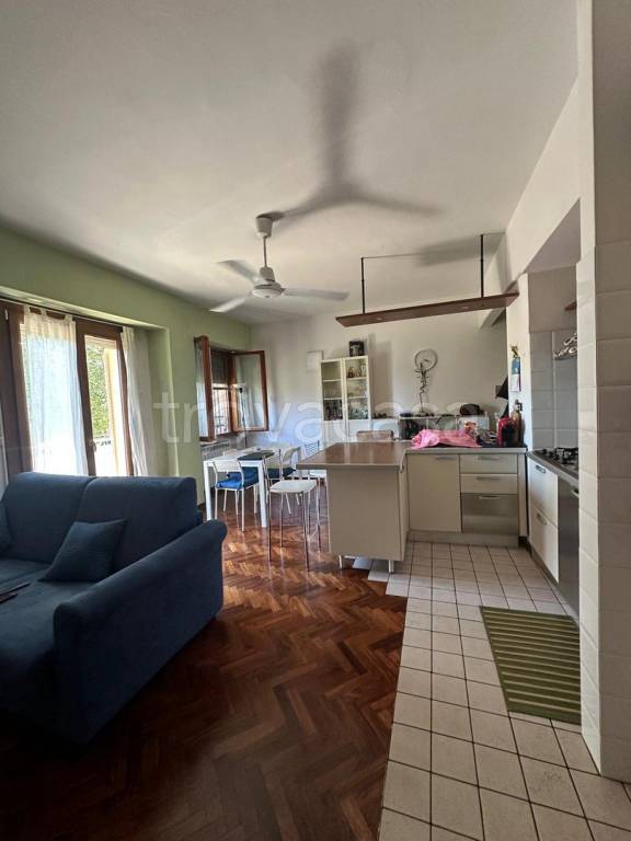 immagine annuncio 5 di 12