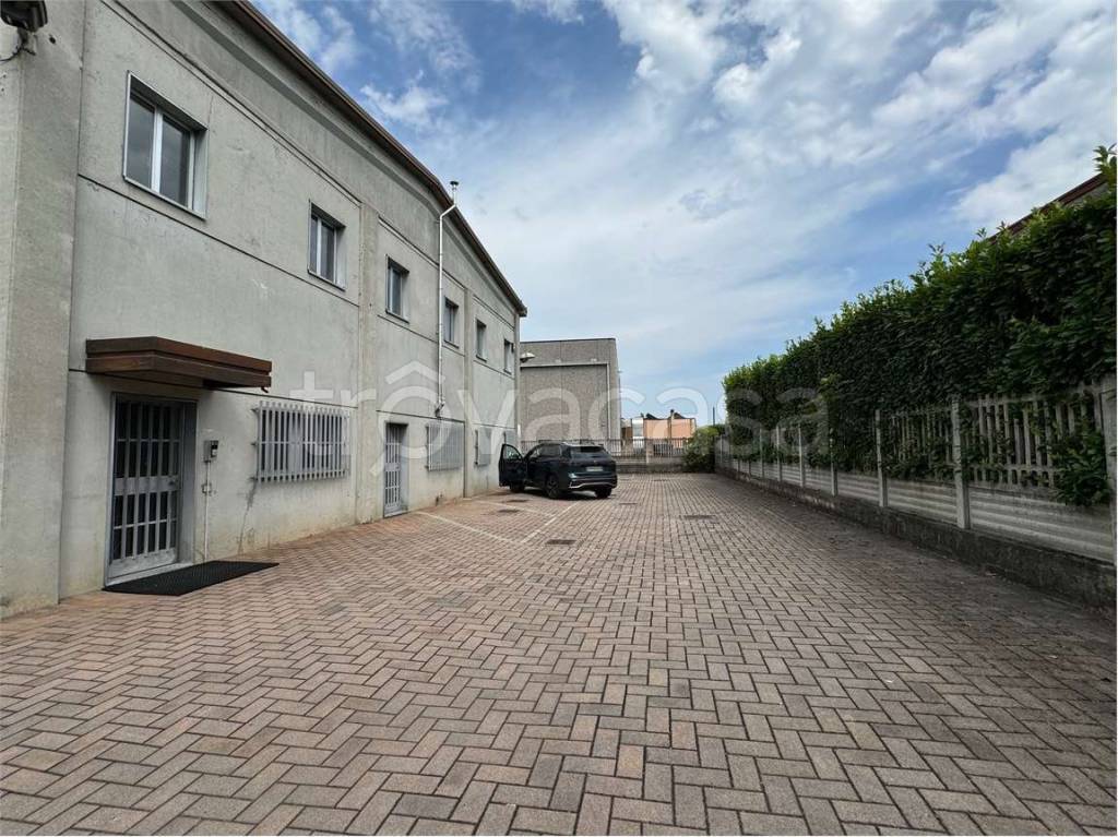 immagine annuncio 5 di 15