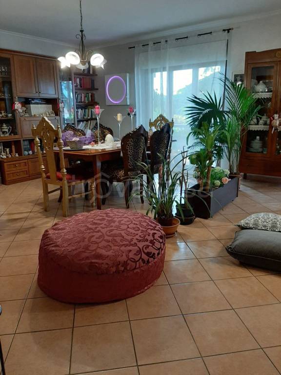 immagine annuncio 6 di 14