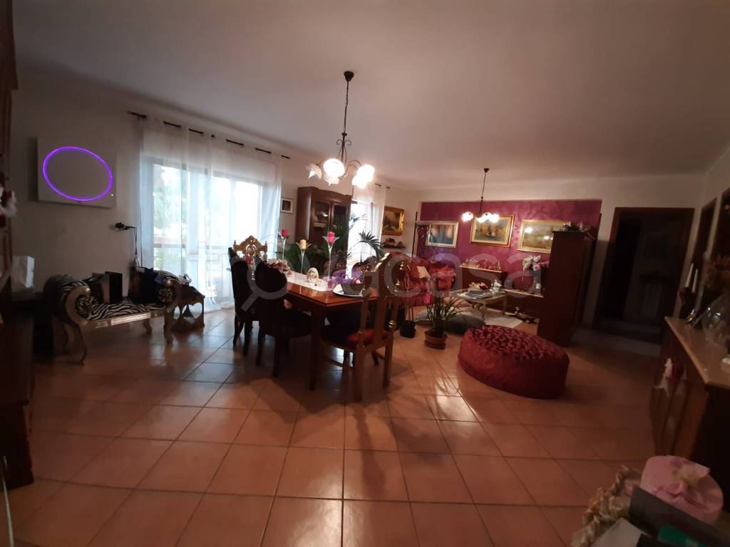 immagine annuncio 9 di 14
