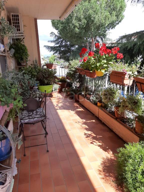 immagine annuncio 13 di 14