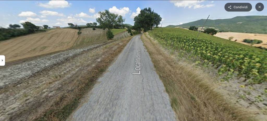 immagine annuncio 7 di 13