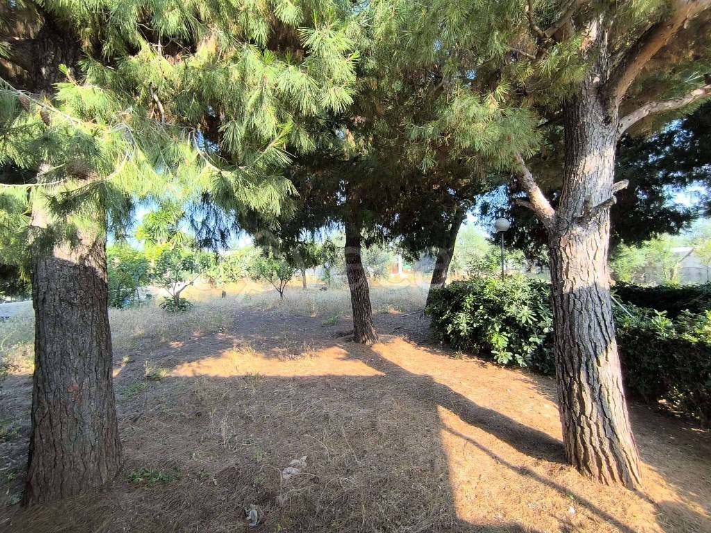 immagine annuncio 2 di 12