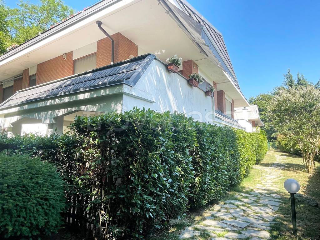 immagine annuncio 2 di 14