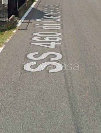 immagine annuncio 3 di 11