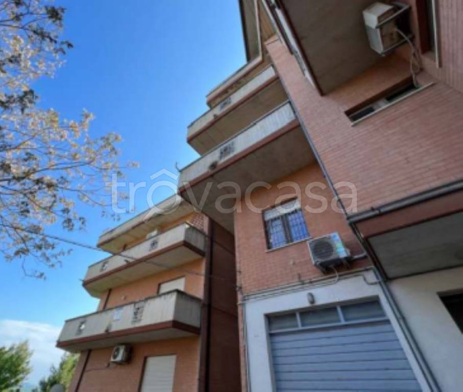 immagine annuncio 6 di 12