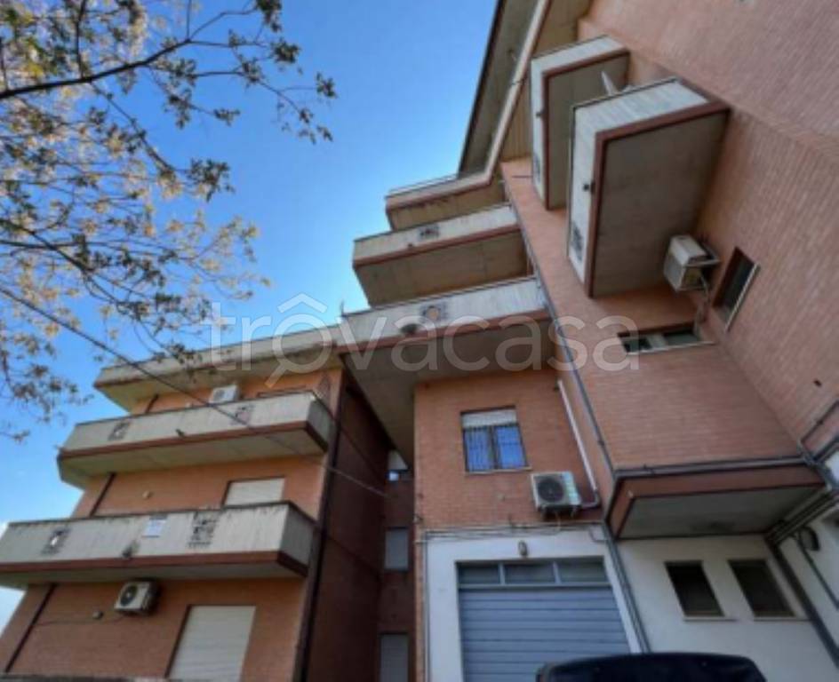 immagine annuncio 8 di 12