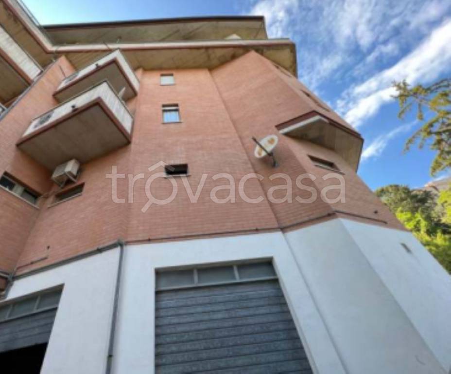 immagine annuncio 10 di 12