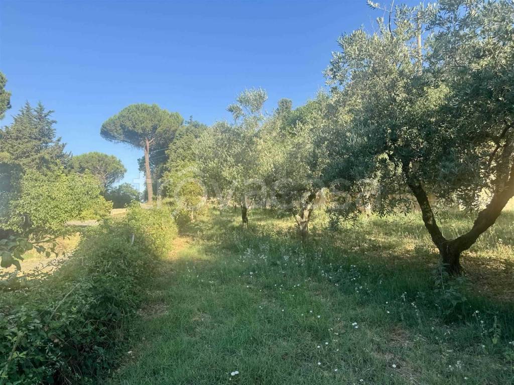 immagine annuncio 10 di 14