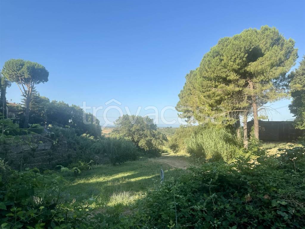 immagine annuncio 11 di 14