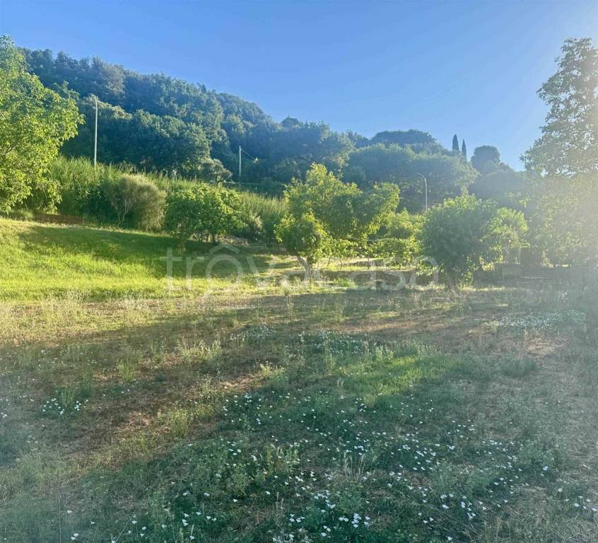 immagine annuncio 12 di 14