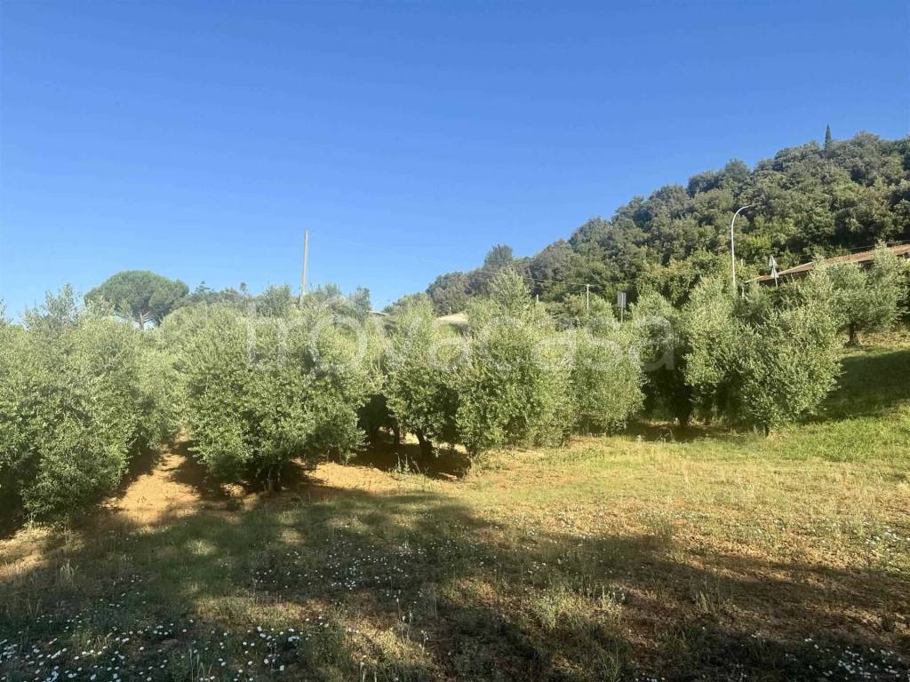 immagine annuncio 13 di 14