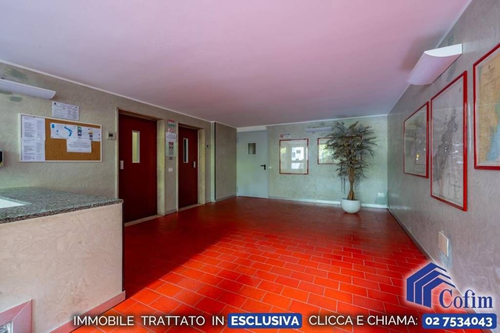 immagine annuncio 9 di 13