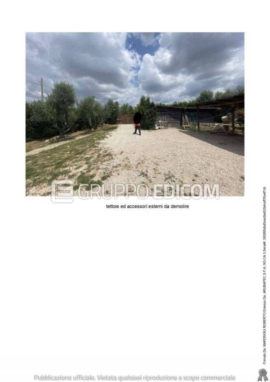 immagine annuncio 11 di 15