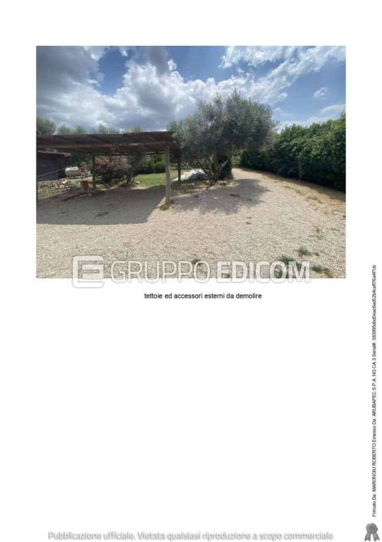 immagine annuncio 12 di 15