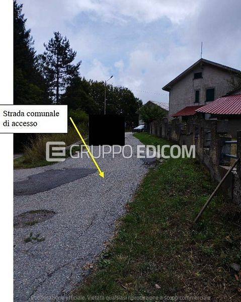 immagine annuncio 7 di 12