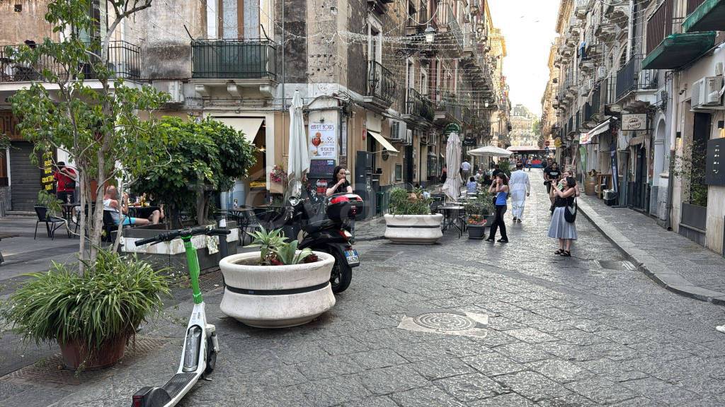 immagine annuncio 4 di 7