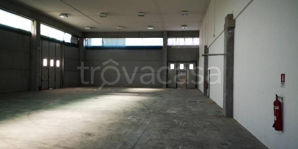 immagine annuncio 7 di 13